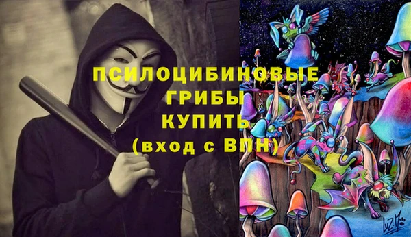 apvp Приозерск