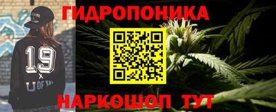 гидропоника Кунгур