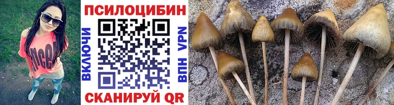 купить наркотики цена Корсаков Псилоцибиновые грибы ЛСД