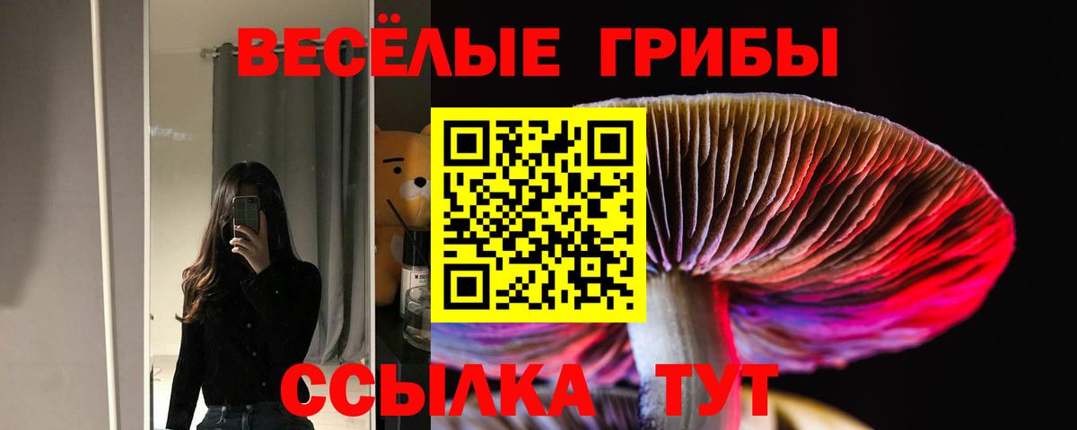 МЕФ   A PVP СОЛЬ   Codein  Гашиш  Cocaine  ГАШИШ  Корсаков  Вход с VPN  Каннабис 