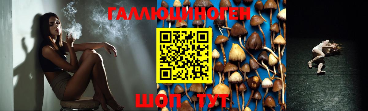 Галлюциногенные грибы GOLDEN TEACHER Корсаков